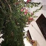 Hotel Solara 3*