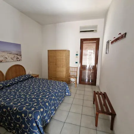 Solara 콘카 스페치울라