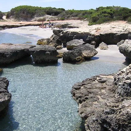 Solara 3* 콘카 스페치울라