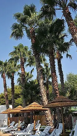 Solara 3* 콘카 스페치울라