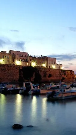 Solara 콘카 스페치울라