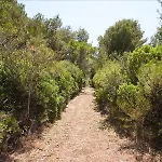מלון Solara