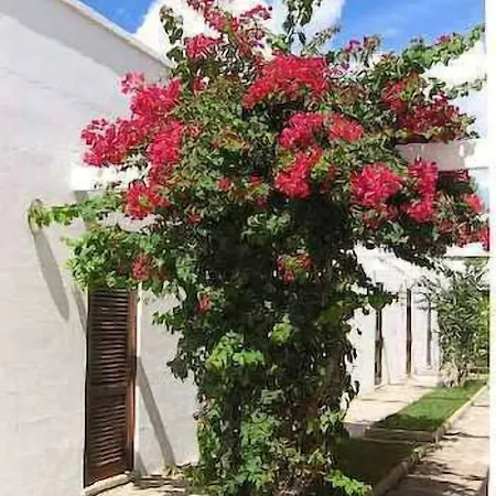 Solara Hotell Conca Specchiulla