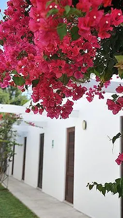 Hotel Solara 3*
