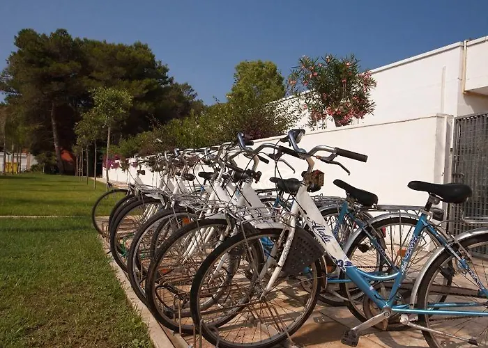 Solara كونكا سبيكيولا