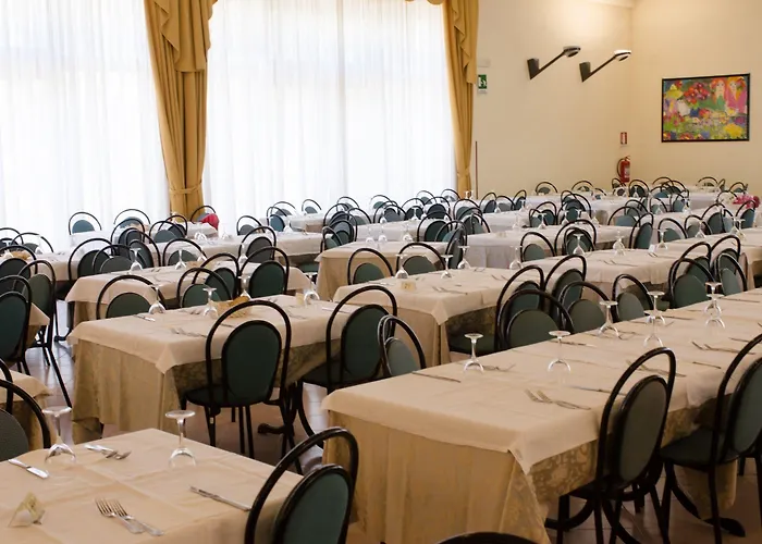 Solara كونكا سبيكيولا