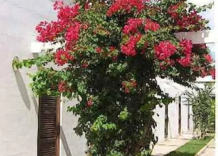 Solara فندق كونكا سبيكيولا