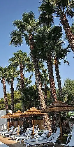 Solara 3* كونكا سبيكيولا