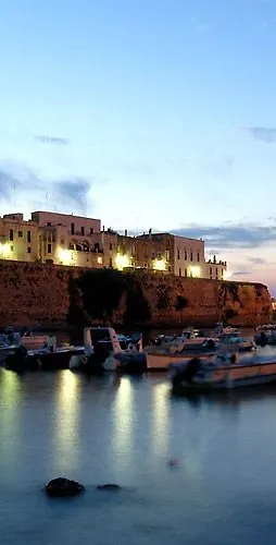 Solara كونكا سبيكيولا